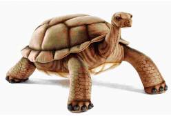 Мягкая игрушка Галапагосская черепаха, 145 см