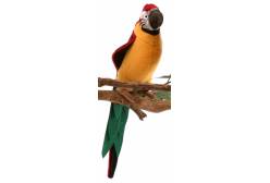 Желтый попугай (37 см)